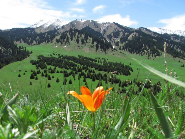 Алматы,Көк Жайлау,курорт